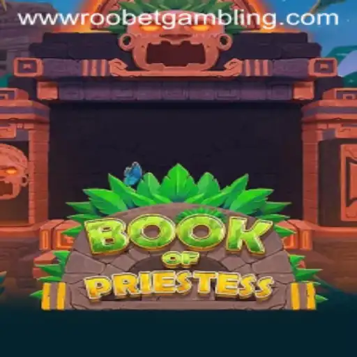 Discovering BookOfPriestess: An Engaging Dive into Roobet Gambling